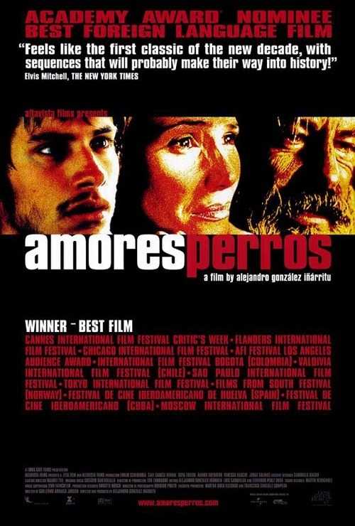 فيلم Amores Perros 2000 مترجم