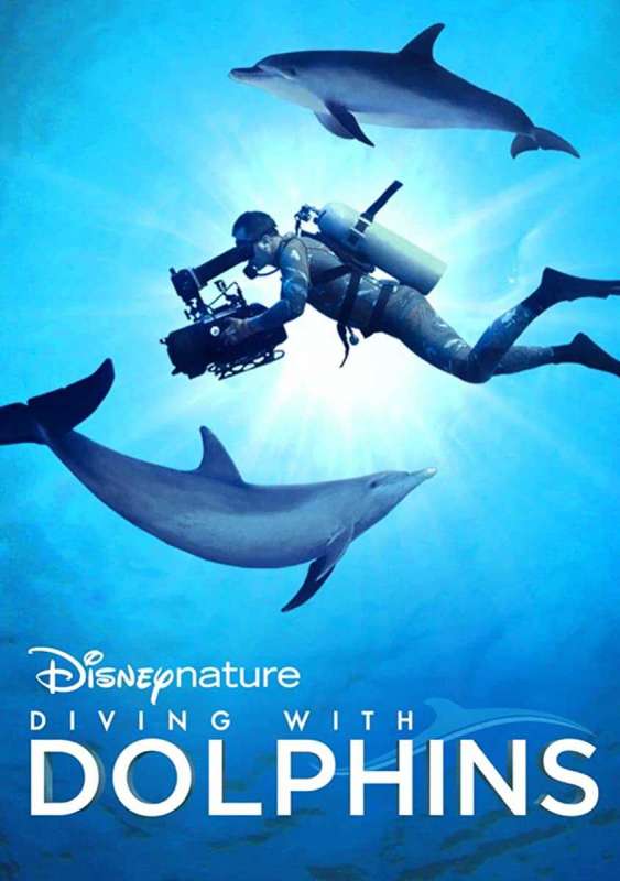 فيلم Diving with Dolphins 2020 مترجم اون لاين