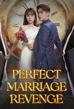 مسلسل انتقام زواج مثالي Perfect Marriage Revenge الحلقة 9